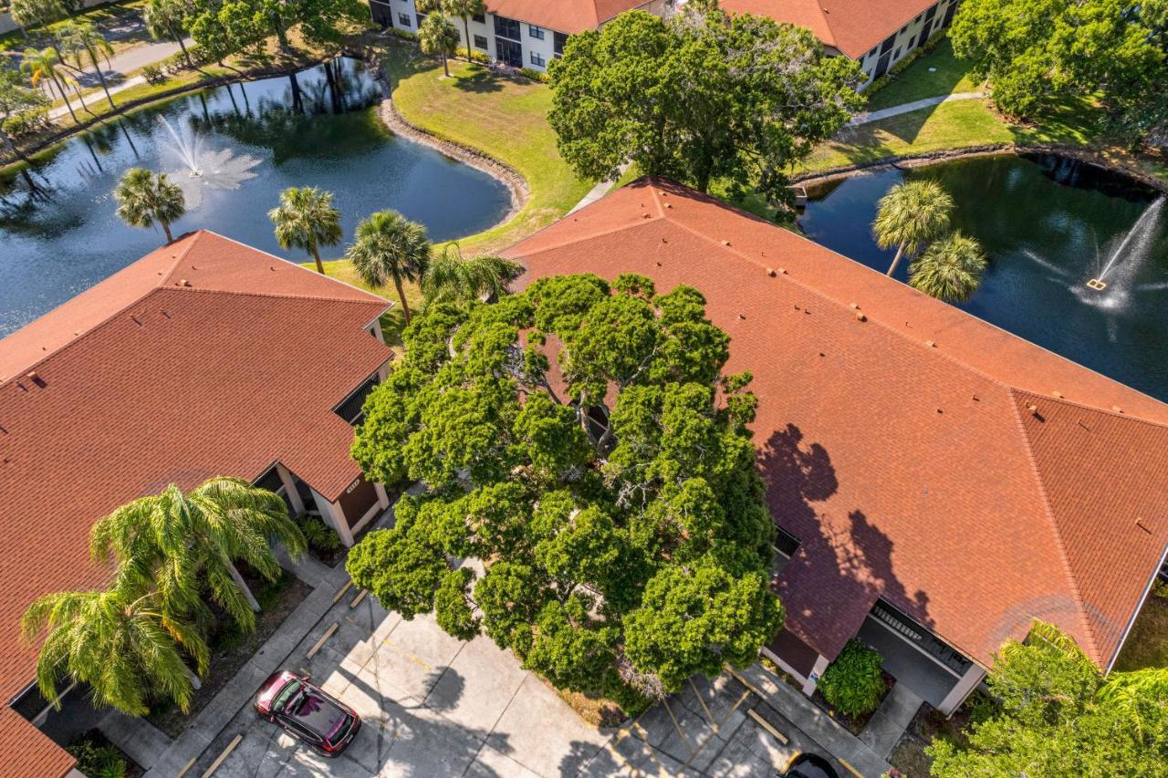 Palm Lagoon Bradenton Luaran gambar